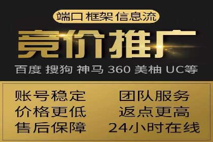 优化SEM广告投放：成功案例分享